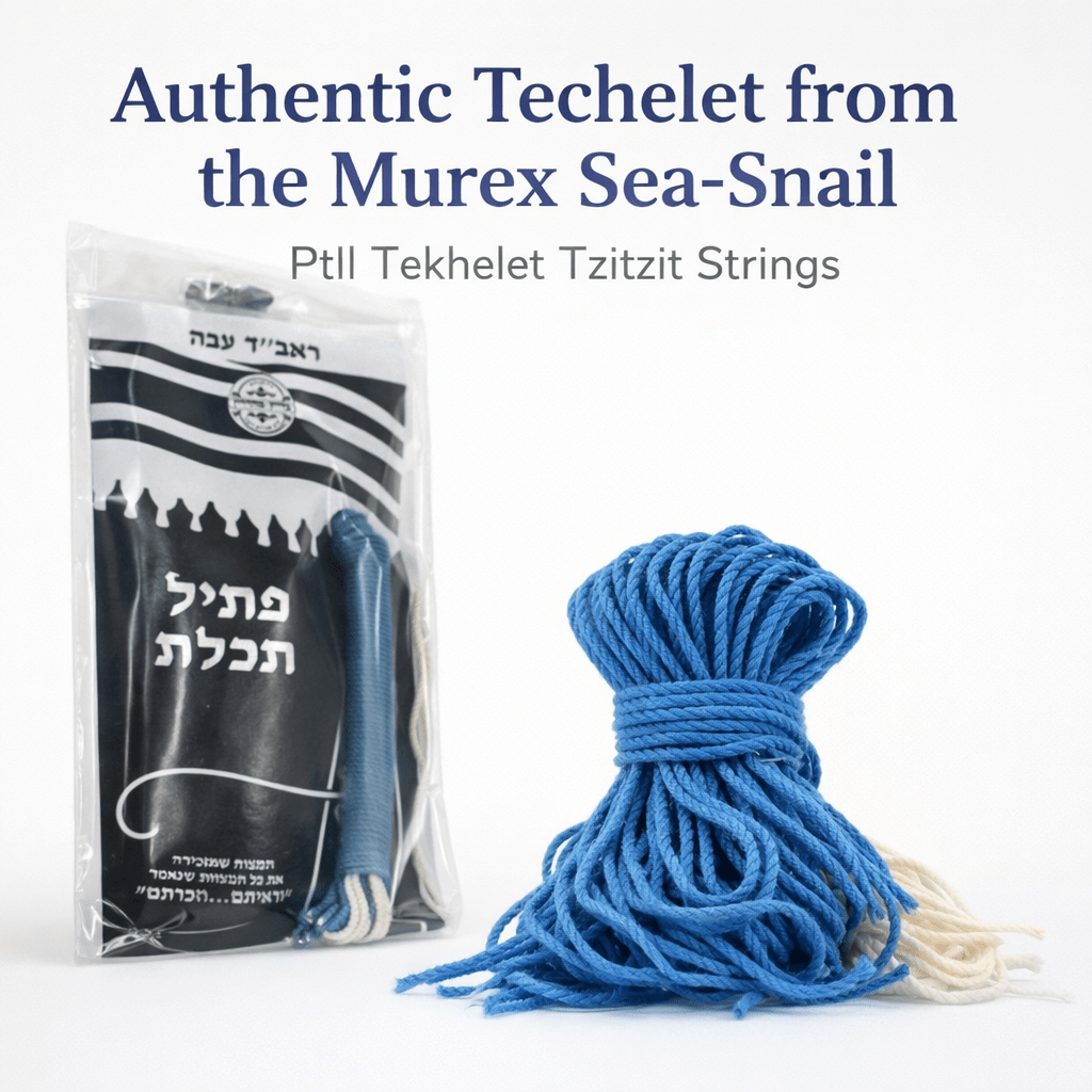 Ptil Tekhelet Tzitzit Strings Authentic Techelet from Murex Sea-Snail