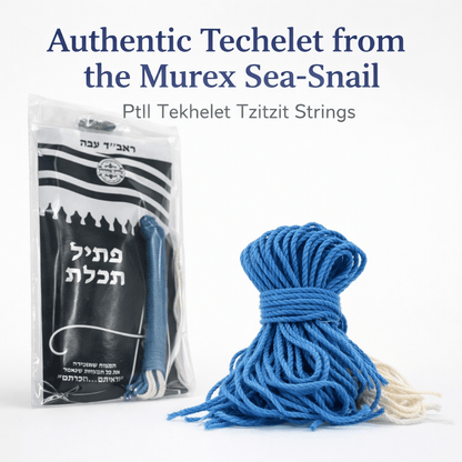 Ptil Tekhelet Tzitzit Strings Authentic Techelet from Murex Sea-Snail