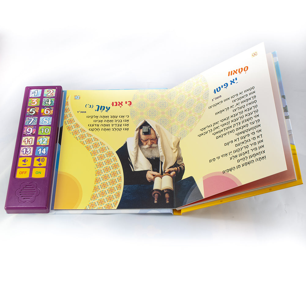 Rebbe Nigunim Interactive Music Book for Kids
